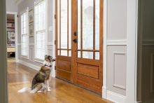 PetSafe Antibellhalsband Spray