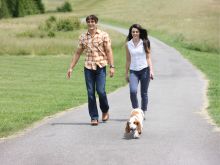 PetSafe Ferntrainer Ultraschall, halsbandlos