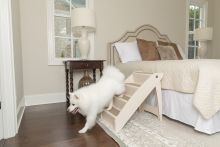 PetSafe CozyUp Klappbare Haustiertreppe 64 cm für Hunde bis 91 Kg