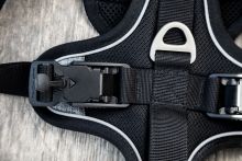 Curli Magnetic Belka Comfort Geschirr Schwarz L