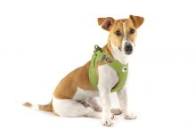 Curli Clasp Vest Geschirr Air-Mesh Lime L