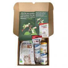 Wildborn Adventskalender
