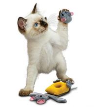 KONG Pull-A-Partz Cheezy