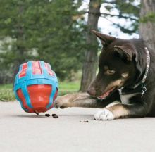 KONG Treat Spinner Large