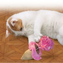 KONG Cat Crackles Scoopz Sortiert