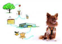 Curli Apple Leather Clasp Vest Geschirr braun S