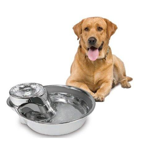 trinkbrunnen hund gro�