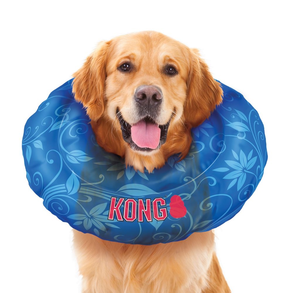 kong dog collar cushion