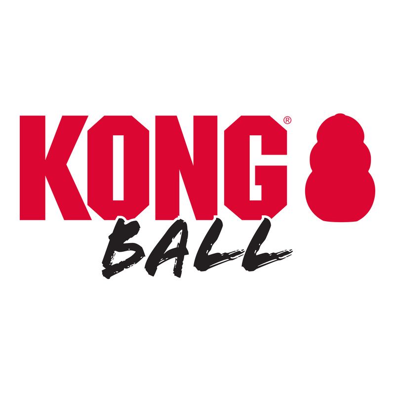KONG Extreme Ball Medium / Large