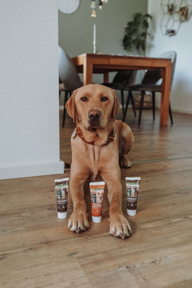 Wildborn GeflügelLeberwurst aus der Tube 75g