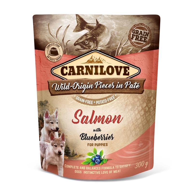 Carnilove Dog Pouch Pate Lachs &amp; Blaubeeren für Welpen und Junghunde 300g