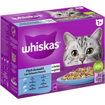 Whiskas Portionsbeutel Multipack 1+ Fisch Auswahl in Gelee 12 x 85g (Menge: 4 je Bestelleinheit) Whiskas Portionsbeutel Multipack 1+ Fisch Auswahl in Gelee 12 x 85g (Menge: 4 je Bestelleinheit)