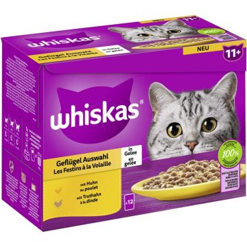 Whiskas Portionsbeutel Multipack 11+ Geflügel Auswahl in Gelee 12 x 85g (Menge: 4 je Bestelleinheit) Whiskas Portionsbeutel Multipack 11+ Geflügel Auswahl in Gelee 12 x 85g (Menge: 4 je Bestelleinheit)