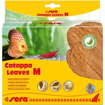 sera Catappa Leaves M 16-20 cm (10 St)