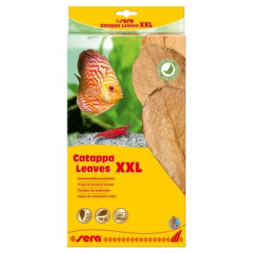 sera Catappa Leaves XXL 30-35 cm (10 St)