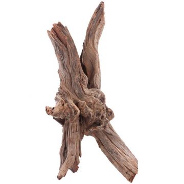 sera Drift Wood M 25-40 cm
