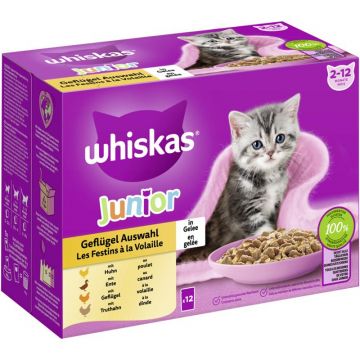 Whiskas Portionsbeutel Multipack Junior Geflügel Auswahl in Gelee 12 x 85g (Menge: 4 je Bestelleinheit) Whiskas Portionsbeutel Multipack Junior Geflügel Auswahl in Gelee 12 x 85g (Menge: 4 je Bestelleinheit)