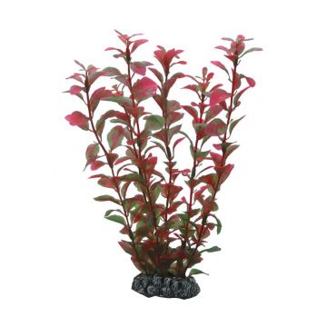 Dohse HOBBY Ludwigia 25 cm SB