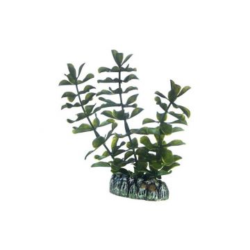 Dohse HOBBY Bacopa 13 cm Dohse HOBBY Bacopa 13 cm