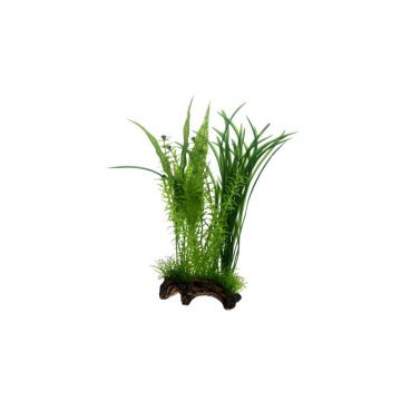 Dohse HOBBY Flora Root 1 Large 30 cm