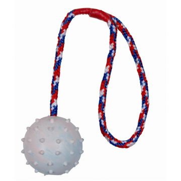 Trixie Ball am Seil, Naturgummi 6 cm 30 cm