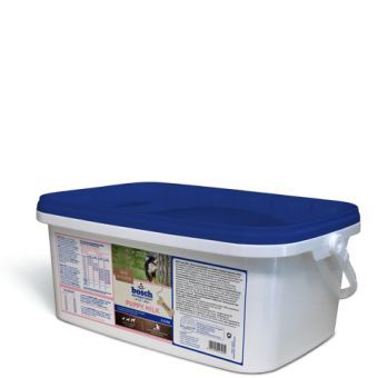Bosch Puppy Milk 2 kg Eimer Bosch Puppy Milk 2 kg Eimer