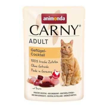 Animonda Cat Carny Adult Geflügel-Cocktail 85g (Menge: 12 je Bestelleinheit) Animonda Cat Carny Adult Geflügel-Cocktail 85g (Menge: 12 je Bestelleinheit)