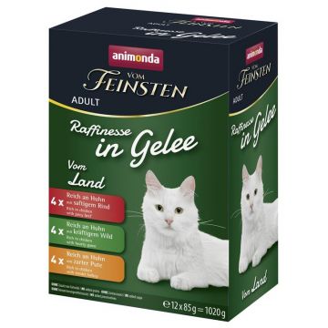 Animonda Cat vom Feinsten Raffinesse in Gelee Adult MP Varietäten vom Land 12x85 g (Menge: 8 je Bestelleinheit) Animonda Cat vom Feinsten Raffinesse in Gelee Adult MP Varietäten vom Land 12x85 g (Menge: 8 je Bestelleinheit)