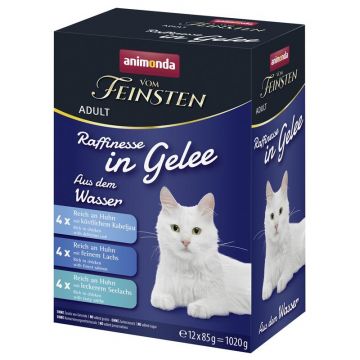 Animonda Vom Feinsten Raffinesse in Gelee Adult Varietäten aus dem Wasser 12 x 85 g (Menge: 8 je Bestelleinheit) Animonda Vom Feinsten Raffinesse in Gelee Adult Varietäten aus dem Wasser 12 x 85 g (Menge: 8 je Bestelleinheit)
