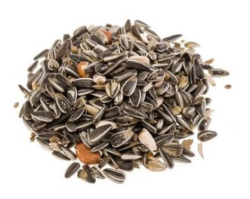 Classic Bird Meisenfutter DISPLAY 50x5kg (Menge: 50 je Bestelleinheit)