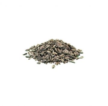 Sonnenblumenkerne gestreift 18 kg
