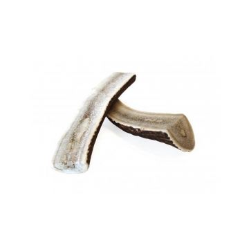 Chewies Geweih-Snack Halb L Chewies Geweih-Snack Halb L