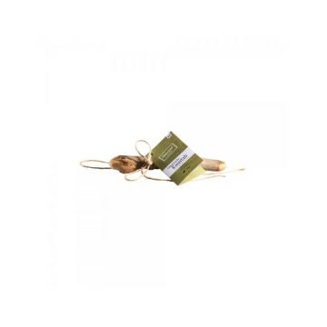 Chewies Olivenholz XS Chewies Olivenholz XS