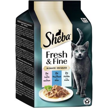 Sheba P.B. MP Fresh & Fine Lachs, Thunfisch & Forelle in Sauce MSC 6x50g (Menge: 6 je Bestelleinheit) Sheba P.B. MP Fresh & Fine Lachs, Thunfisch & Forelle in Sauce MSC 6x50g (Menge: 6 je Bestelleinheit)