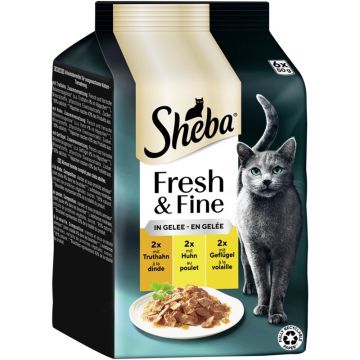 Sheba P.B. MP Fresh & Fine Truthahn, Huhn & Geflügel in Gelee 6x50g (Menge: 6 je Bestelleinheit) Sheba P.B. MP Fresh & Fine Truthahn, Huhn & Geflügel in Gelee 6x50g (Menge: 6 je Bestelleinheit)