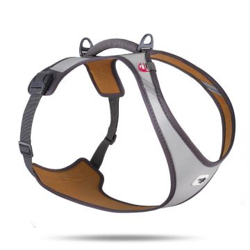 Curli Belka Geschirr Glow Gray XL