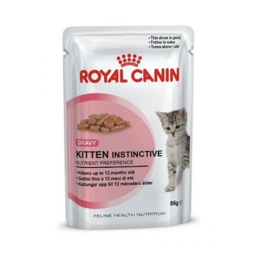 Royal Canin Feline Kitten in Gelee P.B. Multipack 12x85g Royal Canin Feline Kitten in Gelee P.B. Multipack 12x85g